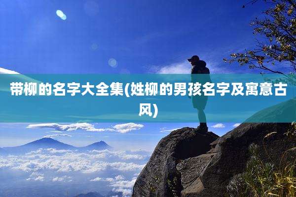 带柳的名字大全集(姓柳的男孩名字及寓意古风)