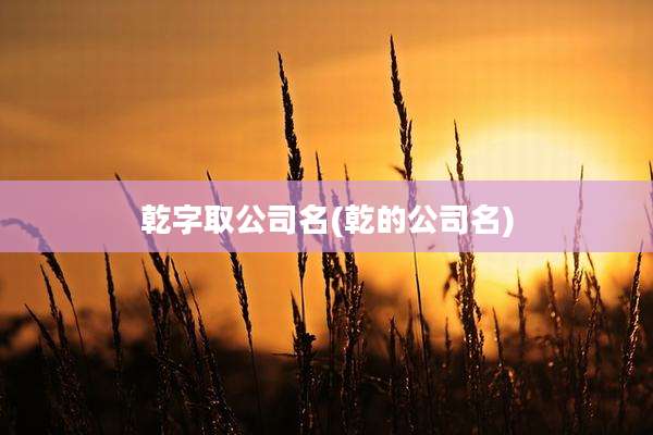 乾字取公司名(乾的公司名)