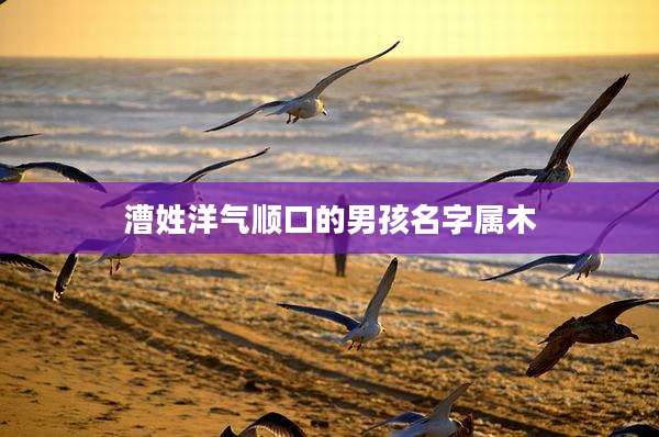 漕姓洋气顺口的男孩名字属木