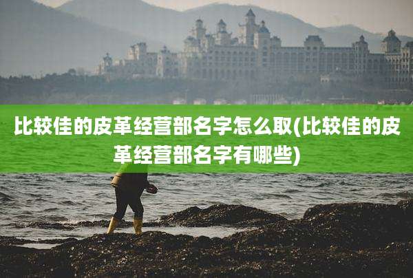 比较佳的皮革经营部名字怎么取(比较佳的皮革经营部名字有哪些)