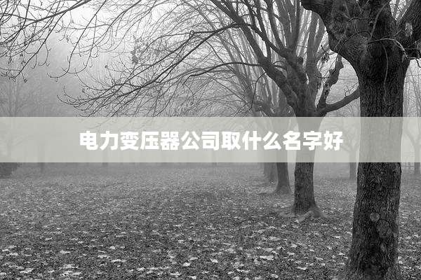 电力变压器公司取什么名字好
