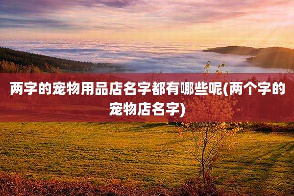两字的宠物用品店名字都有哪些呢(两个字的宠物店名字)