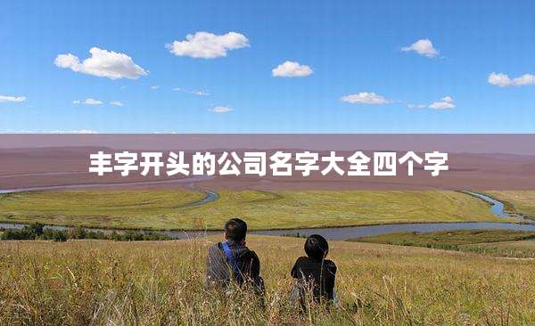 丰字开头的公司名字大全四个字