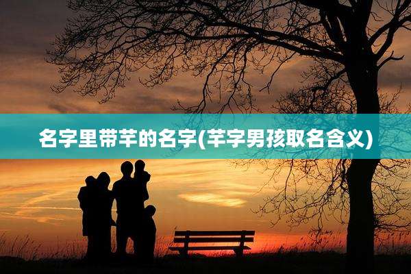 名字里带芊的名字(芊字男孩取名含义)