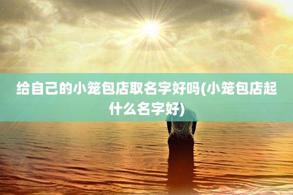给自己的小笼包店取名字好吗(小笼包店起什么名字好)