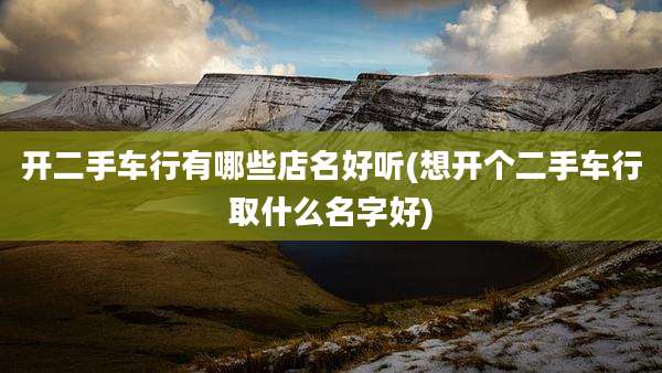 开二手车行有哪些店名好听(想开个二手车行取什么名字好)