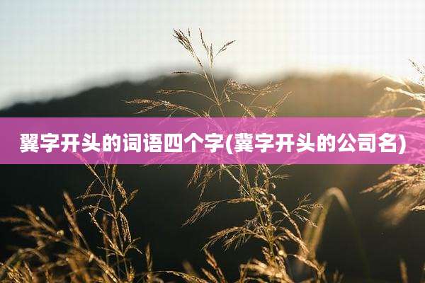 翼字开头的词语四个字(冀字开头的公司名)