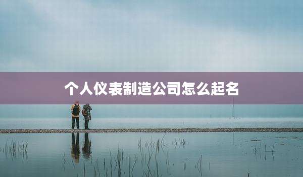 个人仪表制造公司怎么起名