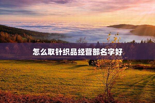 怎么取针织品经营部名字好