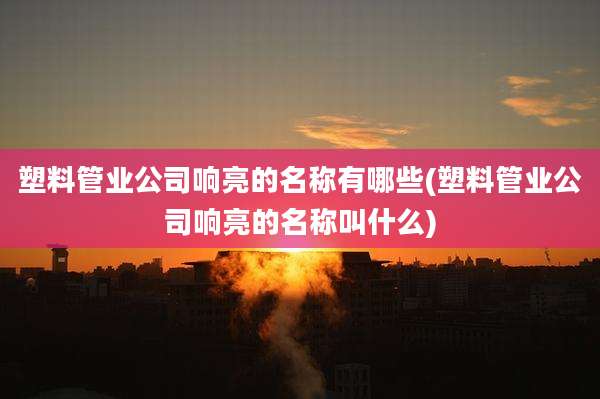 塑料管业公司响亮的名称有哪些(塑料管业公司响亮的名称叫什么)