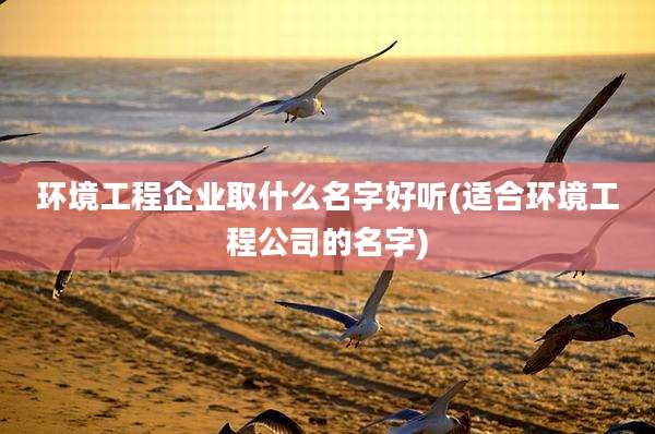 环境工程企业取什么名字好听(适合环境工程公司的名字)