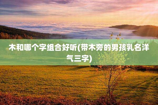 木和哪个字组合好听(带木旁的男孩乳名洋气三字)
