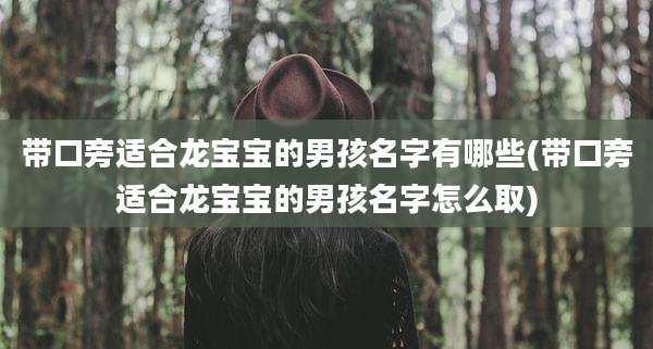 带口旁适合龙宝宝的男孩名字有哪些(带口旁适合龙宝宝的男孩名字怎么取)