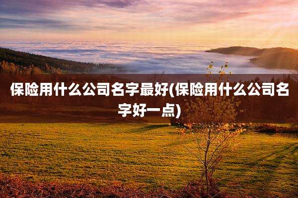 保险用什么公司名字最好(保险用什么公司名字好一点)