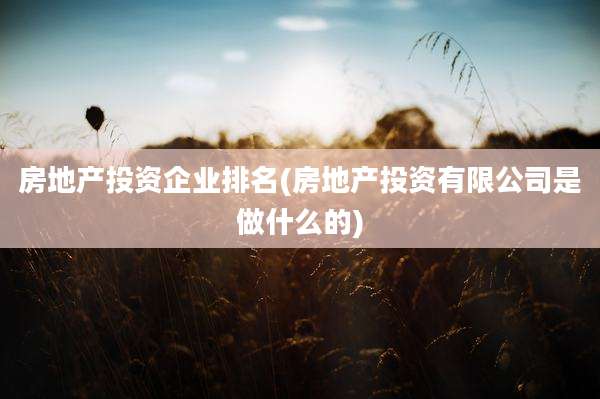 房地产投资企业排名(房地产投资有限公司是做什么的)
