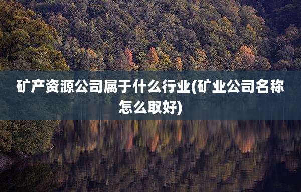 矿产资源公司属于什么行业(矿业公司名称怎么取好)