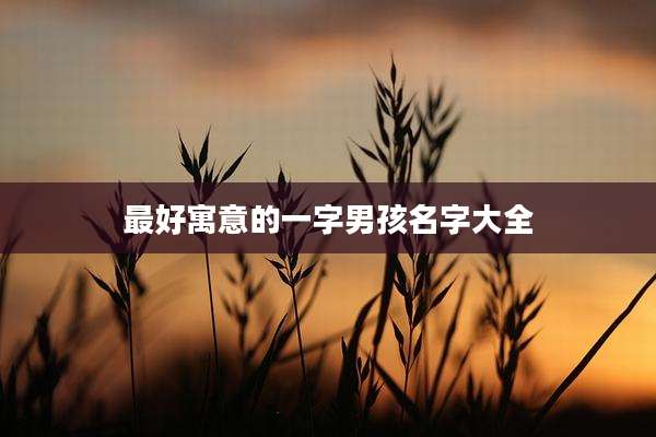最好寓意的一字男孩名字大全