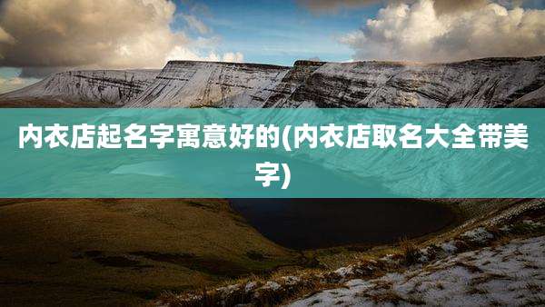 内衣店起名字寓意好的(内衣店取名大全带美字)