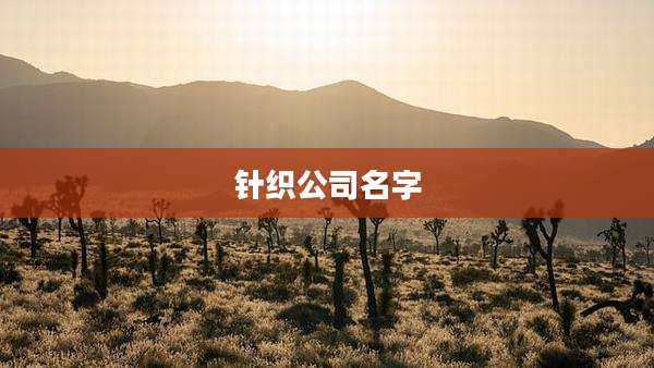 针织公司名字