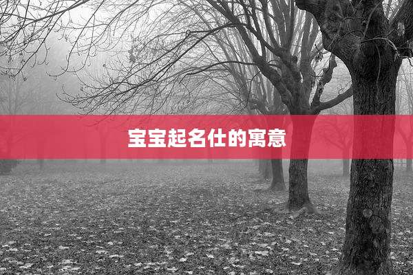 宝宝起名仕的寓意