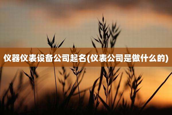 仪器仪表设备公司起名(仪表公司是做什么的)