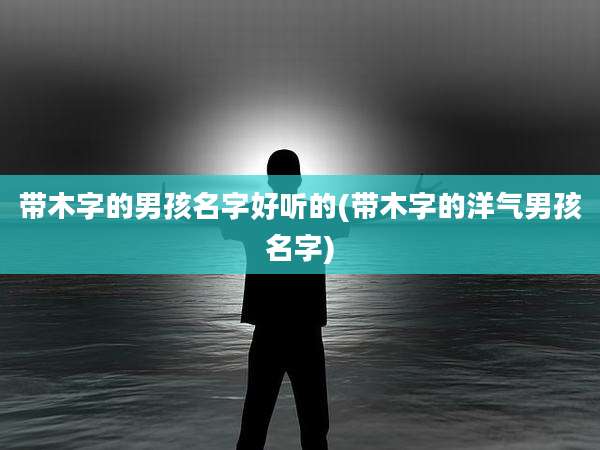 带木字的男孩名字好听的(带木字的洋气男孩名字)