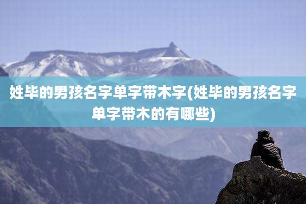 姓毕的男孩名字单字带木字(姓毕的男孩名字单字带木的有哪些)