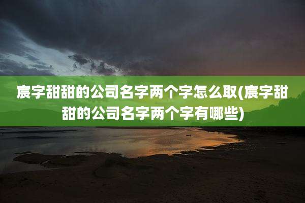宸字甜甜的公司名字两个字怎么取(宸字甜甜的公司名字两个字有哪些)