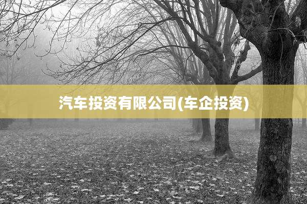 汽车投资有限公司(车企投资)