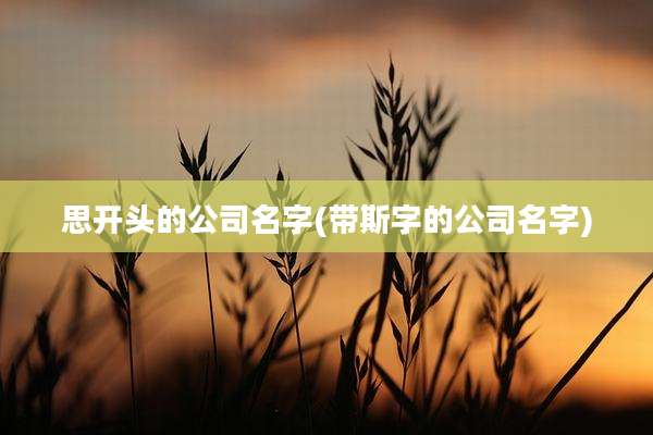 思开头的公司名字(带斯字的公司名字)