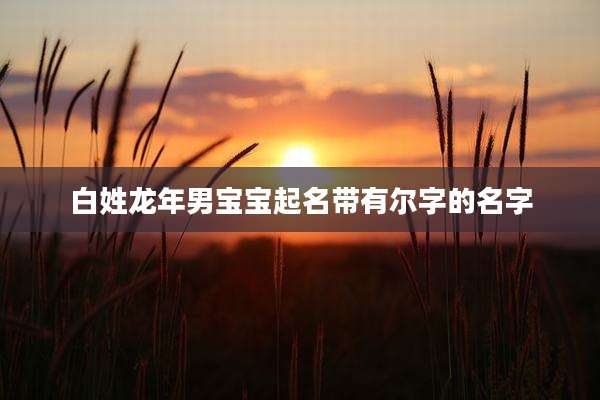 白姓龙年男宝宝起名带有尔字的名字