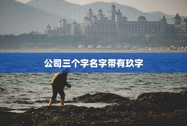 公司三个字名字带有玖字