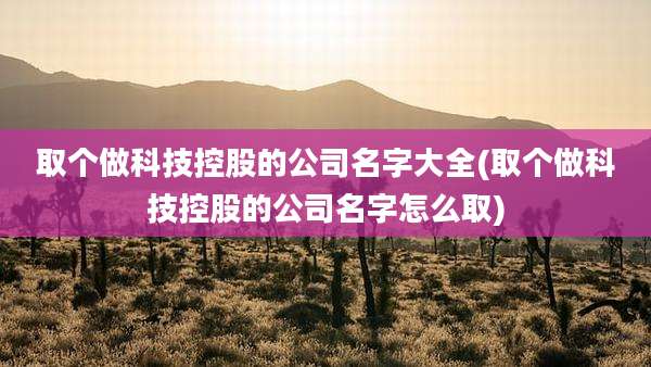 取个做科技控股的公司名字大全(取个做科技控股的公司名字怎么取)