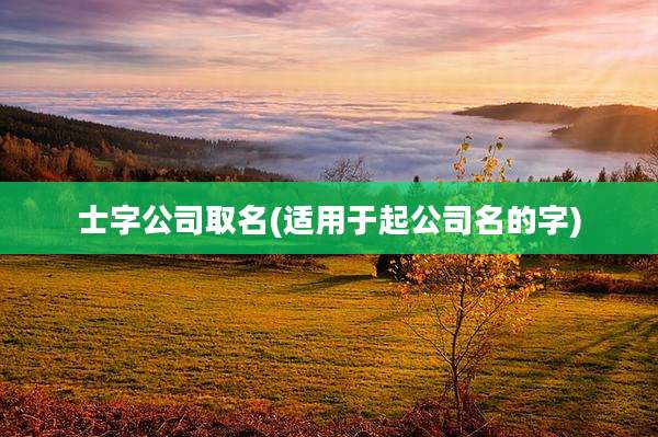 士字公司取名(适用于起公司名的字)