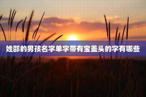 姓邵的男孩名字单字带有宝盖头的字有哪些
