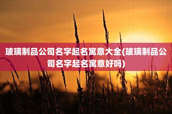 玻璃制品公司名字起名寓意大全(玻璃制品公司名字起名寓意好吗)