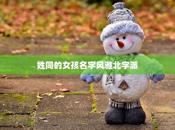 姓同的女孩名字风雅北字派