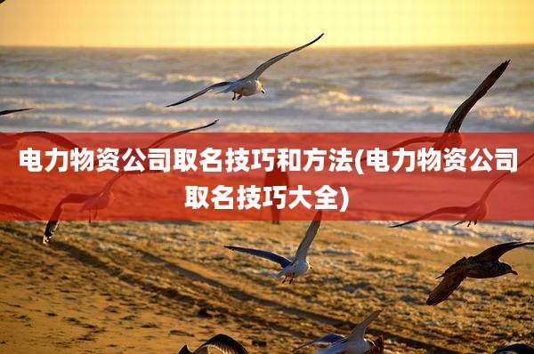 电力物资公司取名技巧和方法(电力物资公司取名技巧大全)