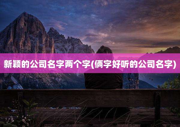 新颖的公司名字两个字(俩字好听的公司名字)