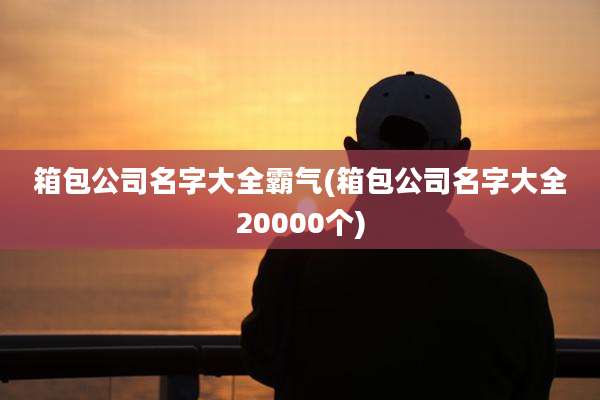 箱包公司名字大全霸气(箱包公司名字大全20000个)