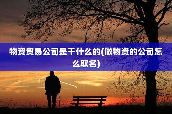 物资贸易公司是干什么的(做物资的公司怎么取名)