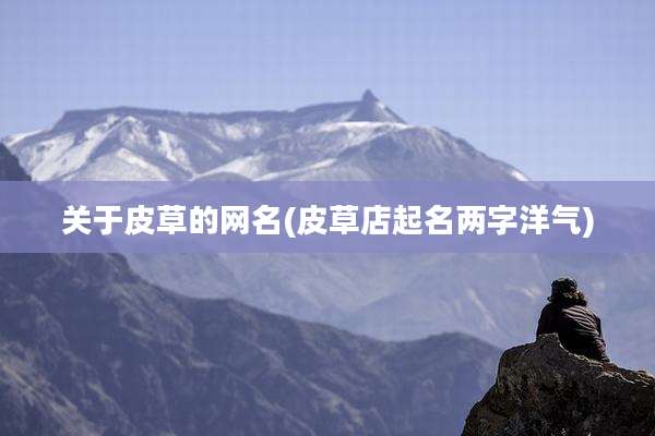 关于皮草的网名(皮草店起名两字洋气)