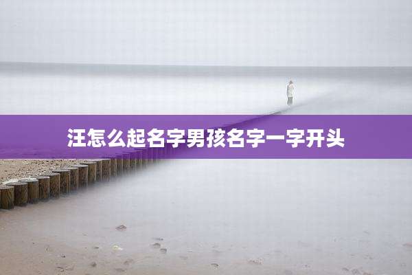 汪怎么起名字男孩名字一字开头