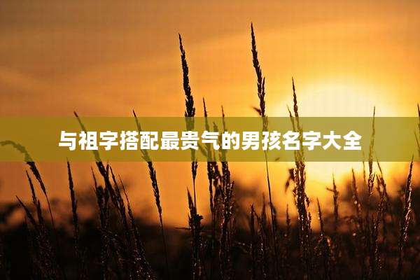 与祖字搭配最贵气的男孩名字大全