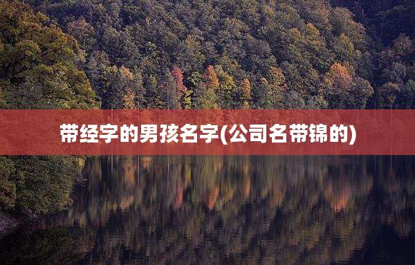 带经字的男孩名字(公司名带锦的)