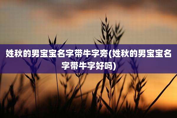 姓秋的男宝宝名字带牛字旁(姓秋的男宝宝名字带牛字好吗)
