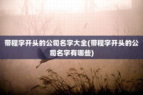 带程字开头的公司名字大全(带程字开头的公司名字有哪些)