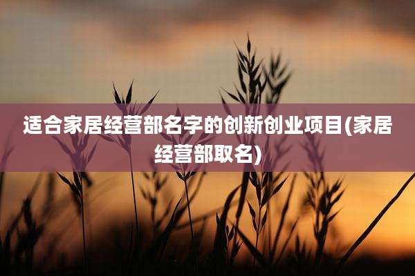 适合家居经营部名字的创新创业项目(家居经营部取名)