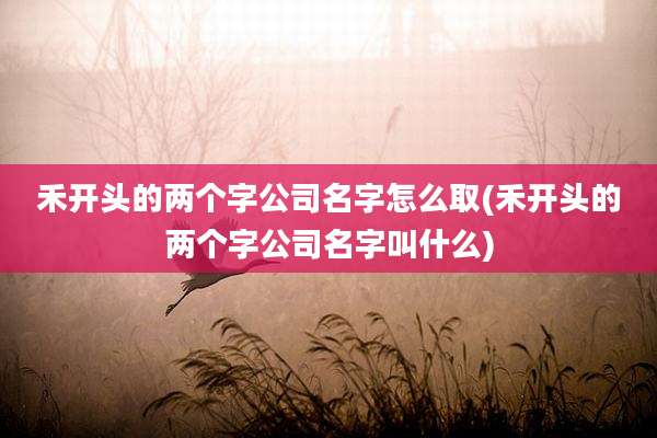 禾开头的两个字公司名字怎么取(禾开头的两个字公司名字叫什么)