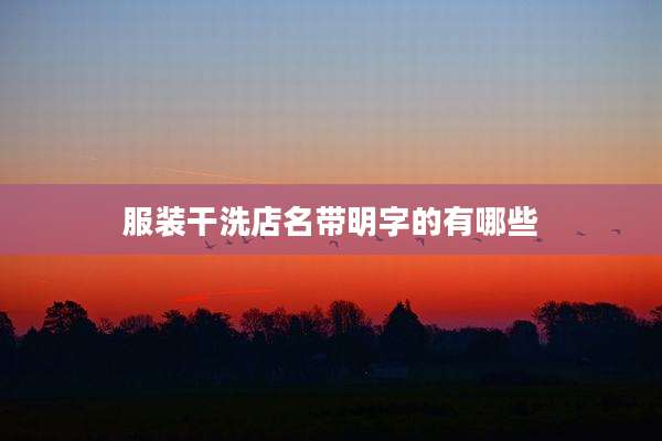 服装干洗店名带明字的有哪些